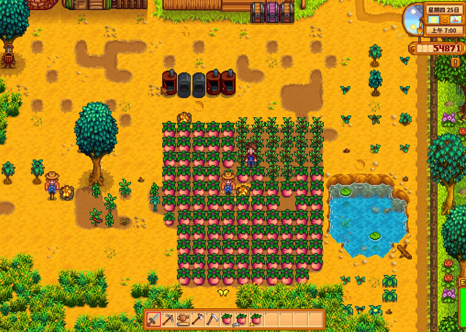 血源诅咒 终极版 截图11