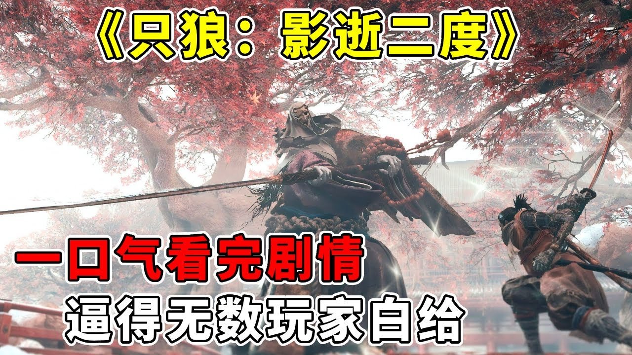 只狼：影逝二度 年度版 截图11