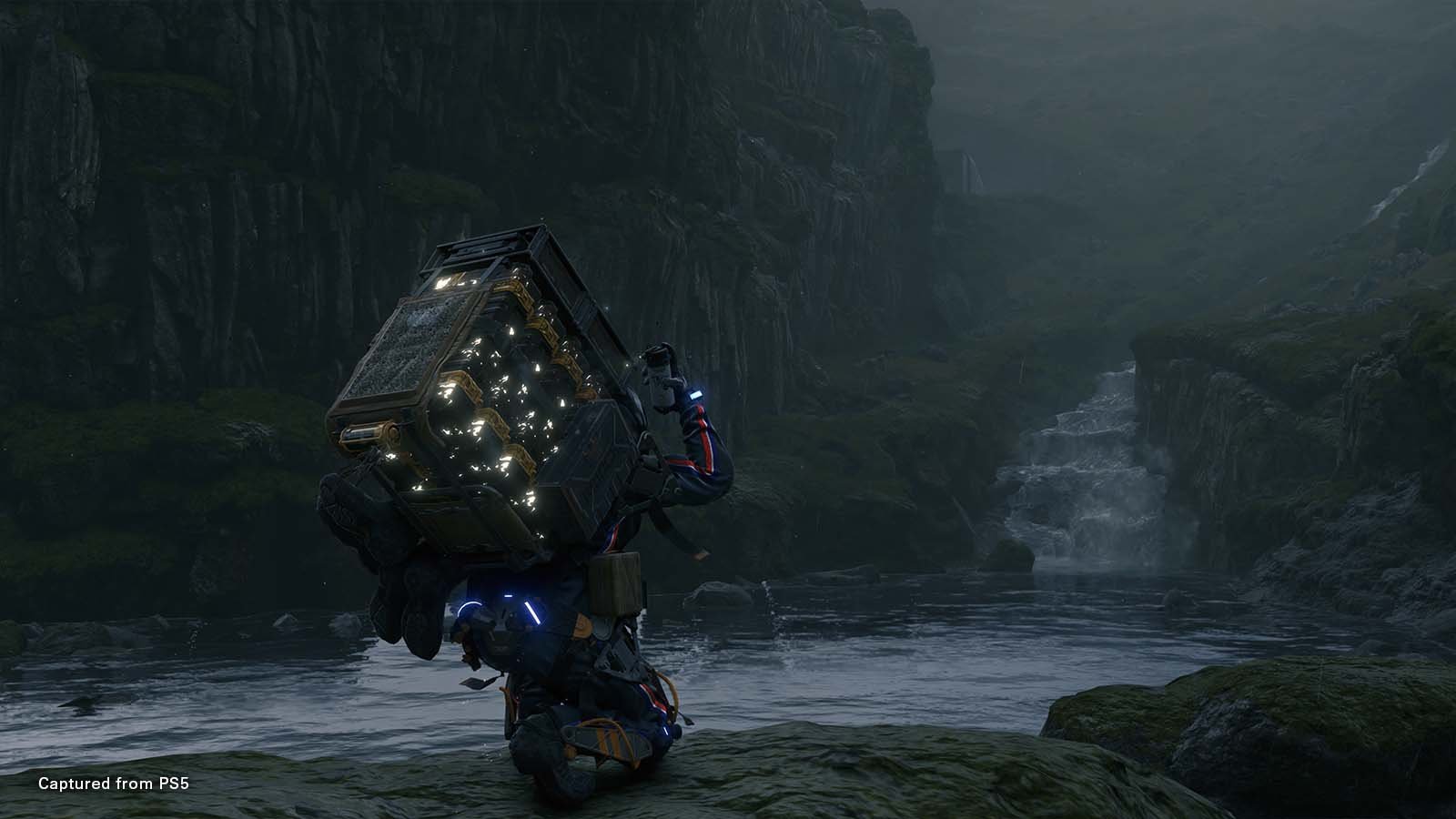 森林 完整版 截图5